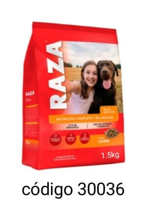 RAZA PERRO ADULTO CARNE  10X1,5KG