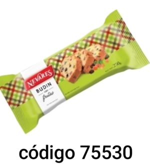 BUDIN NEVARES Nº271 CON FRUTA 10X250G